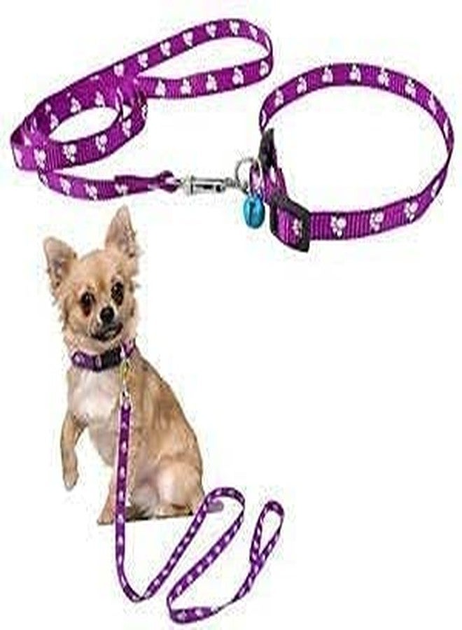 KittuPet طوق ومقود قابل للتعديل من KittuPet للكلاب والقطط، قد يختلف اللون (عبوة من قطعة واحدة) - Image 2